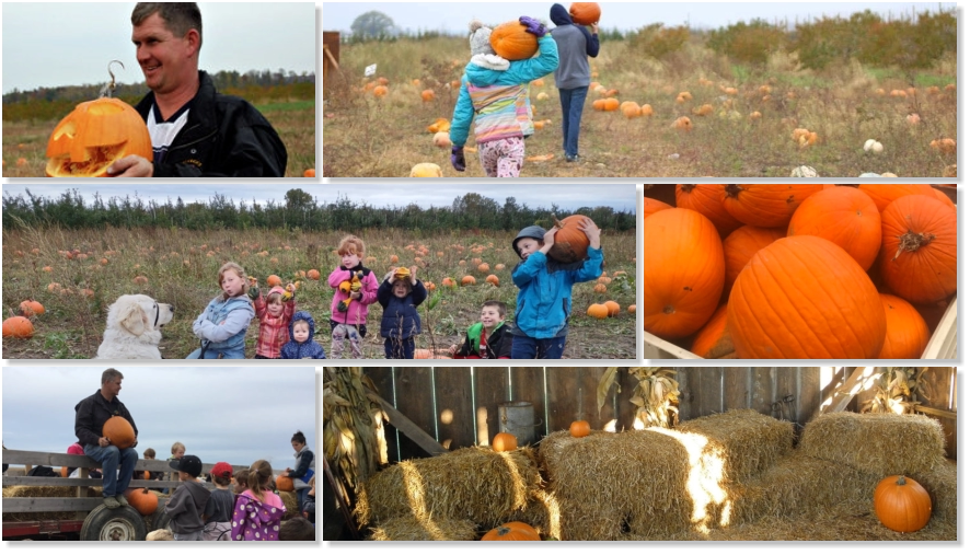 The pumpkin tour